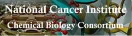 National Cancer Institute Chemical Biology Consortium Logo